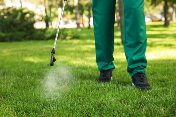 Best Emergency Pest Control  in Daleville, VA
