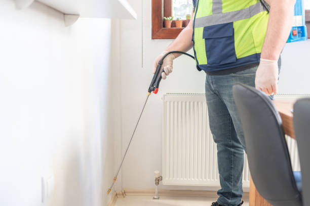 Best Termite Control Services  in Daleville, VA