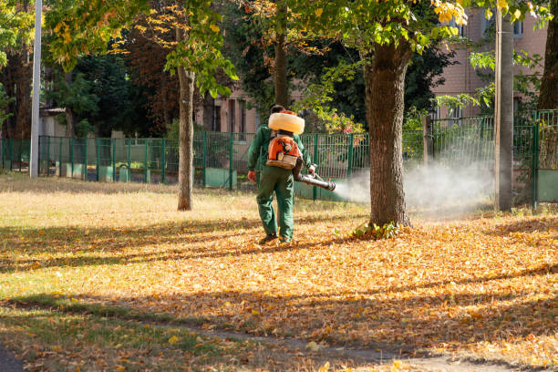 Reliable Daleville, VA Pest Control Solutions